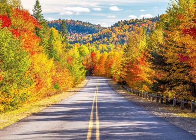 Bố Cục Đường Dẫn Trong Nhiếp Ảnh Là Gì? Cách Sử Dụng Hiệu Quả