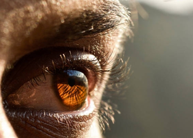 Các góc chụp ảnh cơ bản dành cho người mới