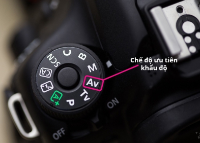 Chế độ Av trên máy ảnh Canon: Cách sử dụng hiệu quả