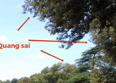 Quang sai là gì? Giải thích đơn giản