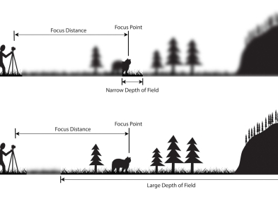 Độ sâu trường ảnh DOF và cách quy đổi tương đương ống kính